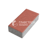 Тротуарная плитка Прямоугольник 10х20х10 см, красная на камне