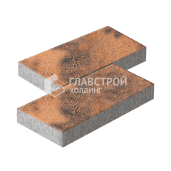 Тротуарная плитка 500х250х60, сомон
