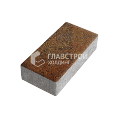 Тротуарная плитка 200х100х40, джафар оранжевый