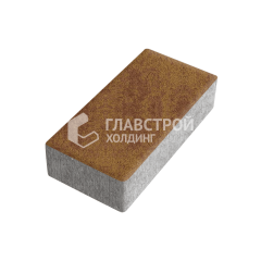 Тротуарная плитка 200х100х40, листопад