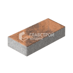 Тротуарная плитка 600х300х60, сомон