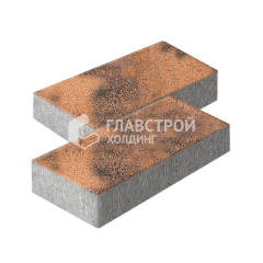 Тротуарная плитка 600х300х60, сомон