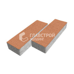 Тротуарная плитка 300х100х60, оранжевая