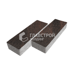 Тротуарная плитка 300х100х60, кармен