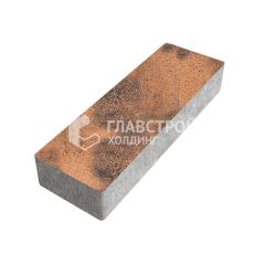 Тротуарная плитка 300х100х60, сомон