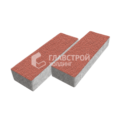 Тротуарная плитка 300х100х60, красная на камне
