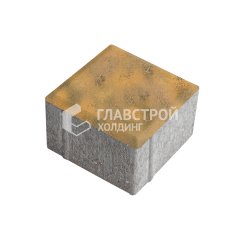 Тротуарная плитка Квадрат 100х100х60, гончар