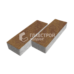 Тротуарная плитка 300х100х60, листопад на камне